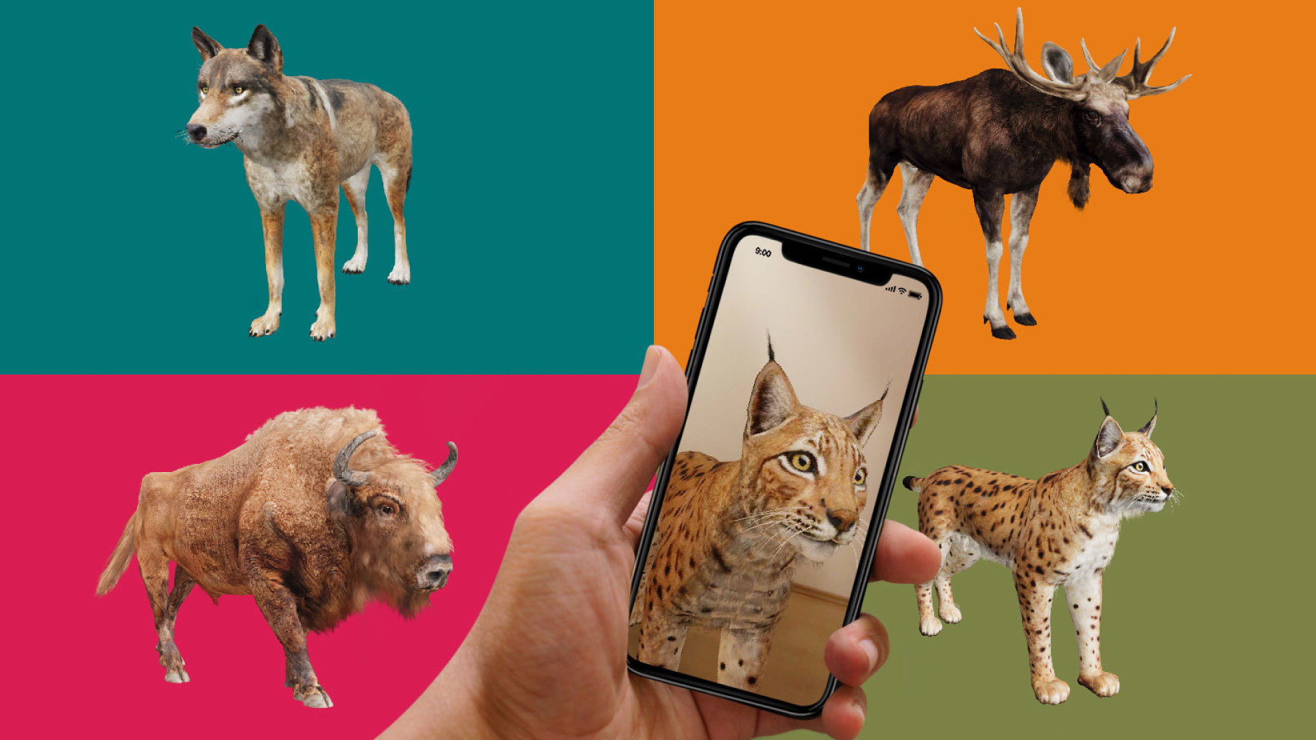 Connecting with Wildlife Through AR