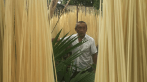 A short man with a white button-up shirt stands behind green foliage and between rows of textile fibers that are hanging to dry on a line.
